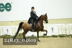 24R13_04619 thumbnail