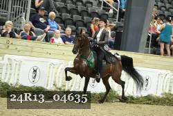 24R13_04635 thumbnail