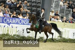 24R13_04636 thumbnail