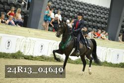 24R13_04640 thumbnail