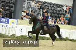 24R13_04641 thumbnail