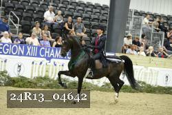 24R13_04642 thumbnail