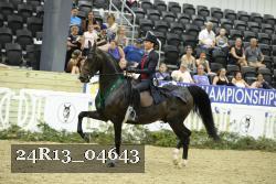 24R13_04643 thumbnail