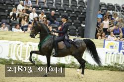 24R13_04644 thumbnail