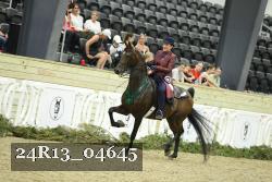 24R13_04645 thumbnail