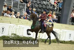24R13_04646 thumbnail