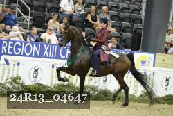 24R13_04647 thumbnail