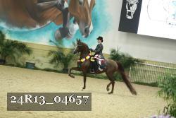 24R13_04657 thumbnail