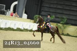 24R13_04660 thumbnail