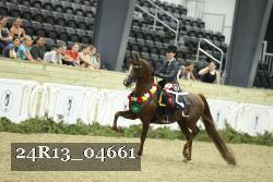 24R13_04661 thumbnail