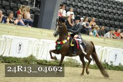 24R13_04662 thumbnail