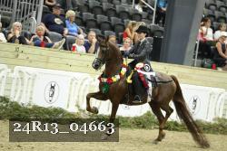 24R13_04663 thumbnail