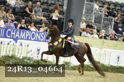 24R13_04664 thumbnail