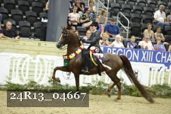 24R13_04667 thumbnail