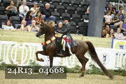 24R13_04668 thumbnail