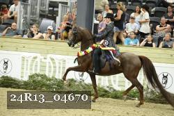 24R13_04670 thumbnail
