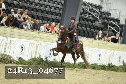 24R13_04677 thumbnail