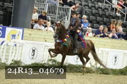 24R13_04679 thumbnail