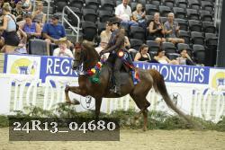 24R13_04680 thumbnail