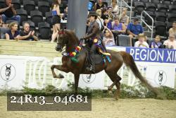 24R13_04681 thumbnail