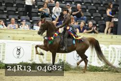 24R13_04682 thumbnail
