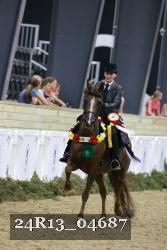 24R13_04687 thumbnail