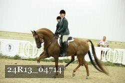 24R13_04714 thumbnail