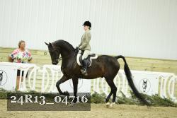 24R13_04716 thumbnail