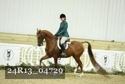 24R13_04729 thumbnail