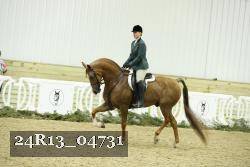 24R13_04731 thumbnail