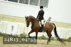 24R13_04733 thumbnail