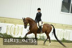 24R13_04735 thumbnail