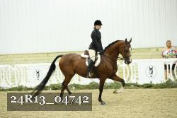 24R13_04742 thumbnail