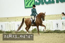 24R13_04747 thumbnail