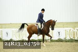 24R13_04750 thumbnail