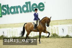 24R13_04757 thumbnail