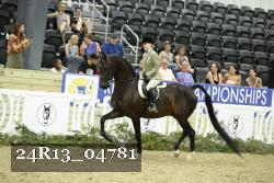 24R13_04781 thumbnail