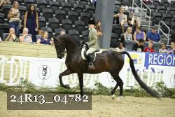24R13_04782 thumbnail