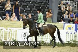 24R13_04787 thumbnail