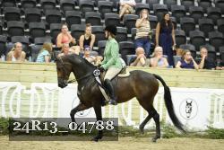 24R13_04788 thumbnail