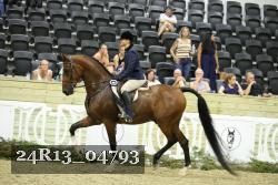 24R13_04793 thumbnail