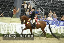 24R13_04800 thumbnail