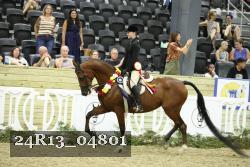 24R13_04801 thumbnail