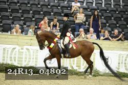 24R13_04802 thumbnail