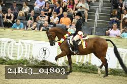 24R13_04803 thumbnail