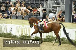 24R13_04804 thumbnail