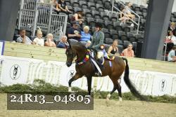 24R13_04805 thumbnail