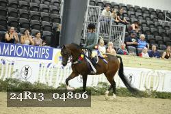 24R13_04806 thumbnail