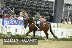 24R13_04807 thumbnail