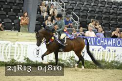 24R13_04810 thumbnail